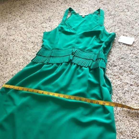 🆕 Lark & Ro palm green sleeveless maxi dre… - Picture 6 of 10